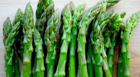 Asparagus – pestovanie, presádzanie a hnojenie